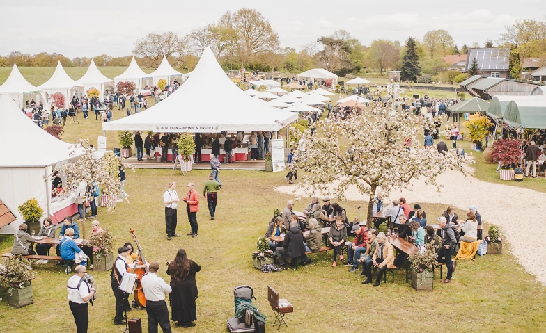 28. Olivenölabholtage am 25. + 26. April 2026 in Wilstedt