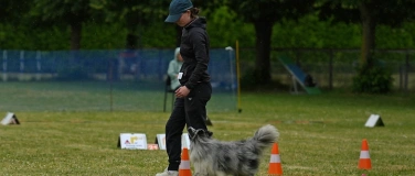 Event-Image for 'Rally Obedience Turnier'