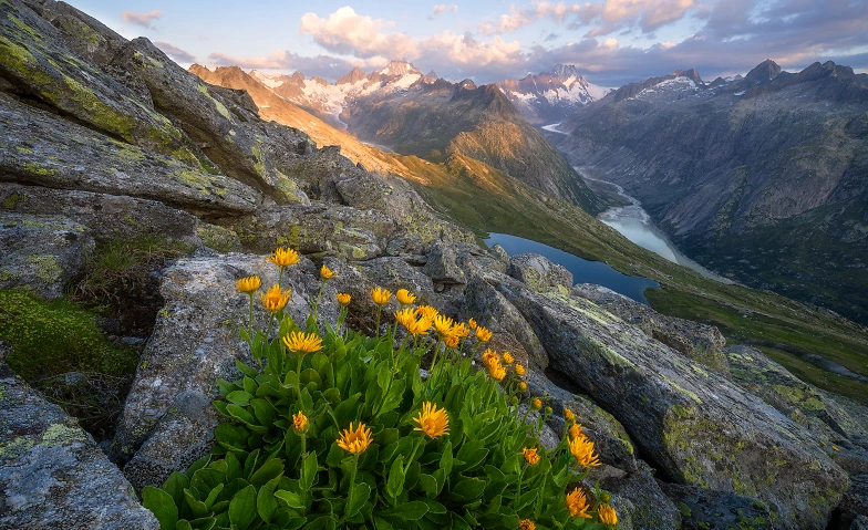 Grimsel Pass Autumn Photography Trip – 19 September 2026 Exp