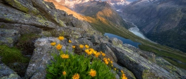 Event-Image for 'Grimsel Pass Autumn Photography Trip &ndash; 19 September 2026 Exp'