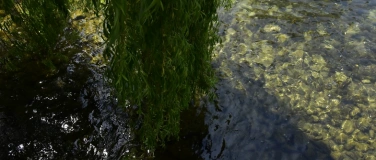 Event-Image for 'Riverando: Two Rivers, One Moment'