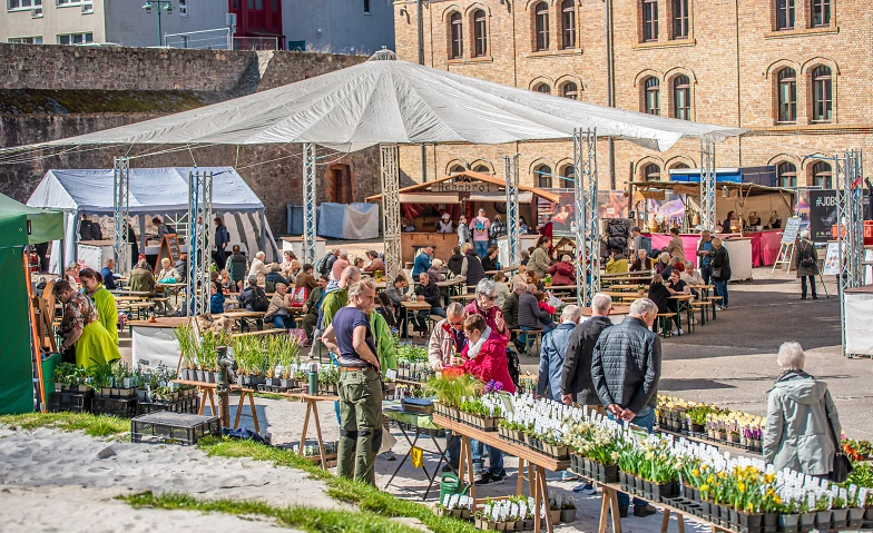 Event-Image for 'Fr&uuml;hlingsmarkt in der Festung Mark Magdeburg'