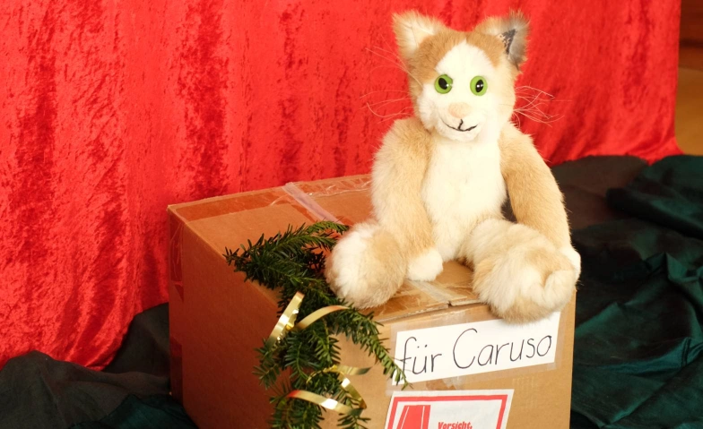 Carusos Weihnachtsp&auml;ckli Chollerhalle Zug, Chamerstrasse 177, 6300 Zug Tickets