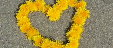 Event-Image for '&Ouml;ffne dich der heilenden Kraft der Liebe'