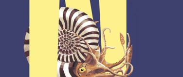 Event-Image for 'Unsichtbar? Tiere im Verborgenen'