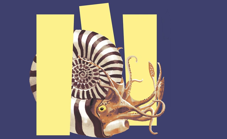 Event-Image for 'Unsichtbar? Tiere im Verborgenen'