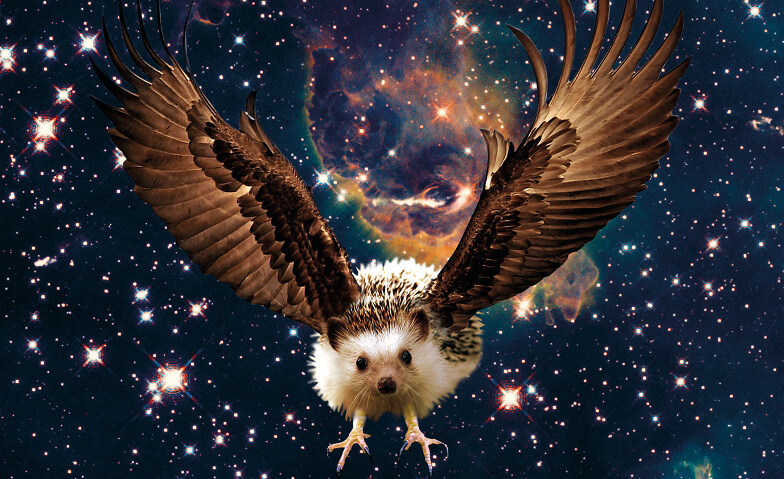 Eagel Slam 1000
