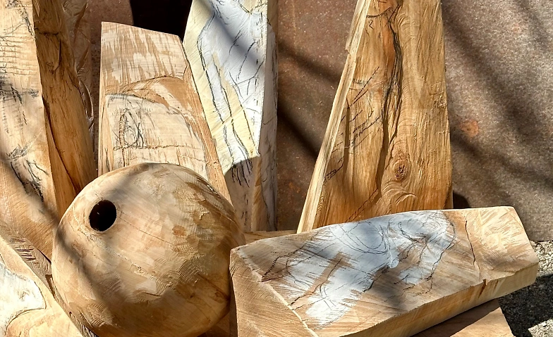 Event-Image for 'Ausstellung Thomas Birve, Kaminraum: Kathrin R&ouml;lli'