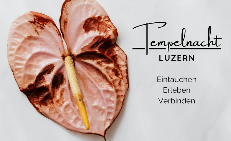 Templenight - Tempel der Fülle & Sinnlichkeit