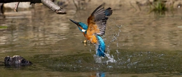 Event-Image for 'Die Spree vor Gericht? - Neue Wege im Naturschutz'