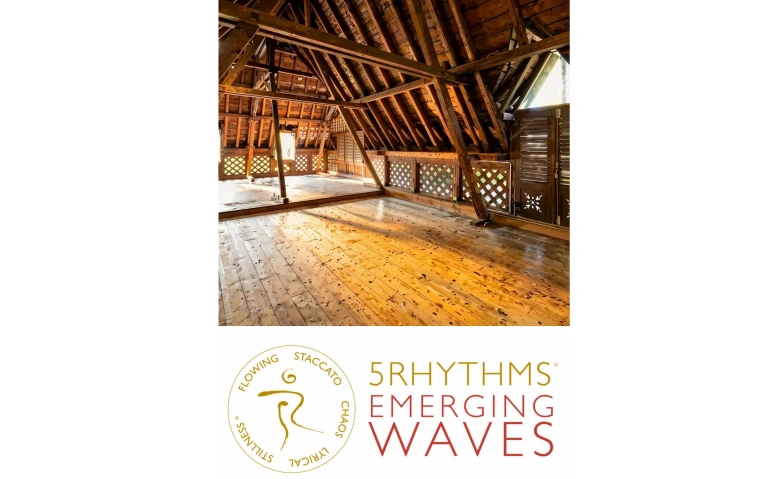 5Rhythms&reg; Emerging Waves - Z&uuml;rich - Ecstatic Dance Billets