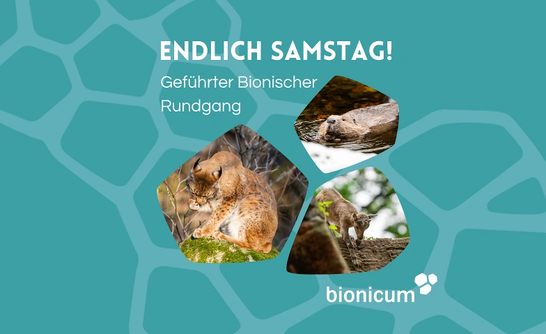 Endlich Samstag! Führung bionischer Rundgang im Tiergarten