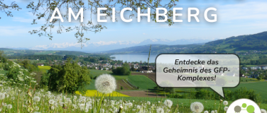 Event-Image for 'GFP Zunder Samstag'