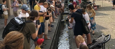 Event-Image for 'Aarauer Entenrennen 2026'