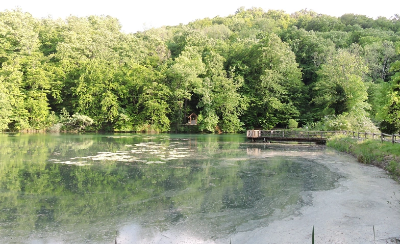 Führungen durch die Ermitage