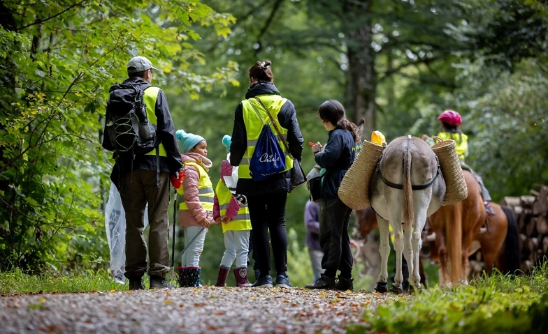 Event-Image for 'Active City: Eselspaziergang'