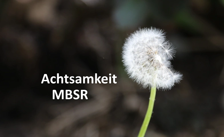 MBSR 8-Wochenkurs in Luzern - Abend