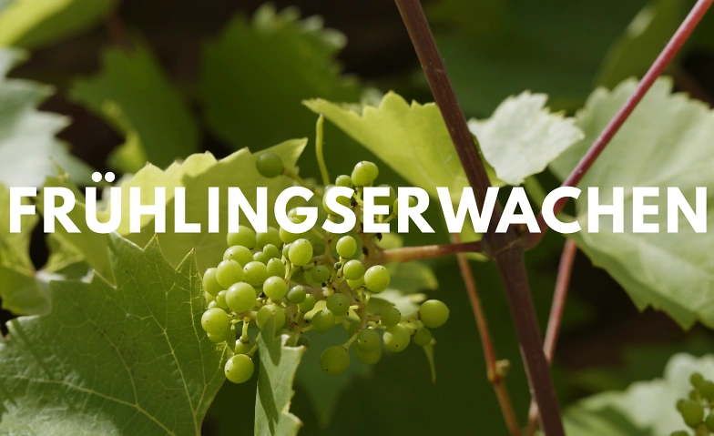 Fr&uuml;hlingserwachen - Frische Wei&szlig;weine Tickets