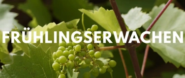 Event-Image for 'Fr&uuml;hlingserwachen - Frische Wei&szlig;weine'