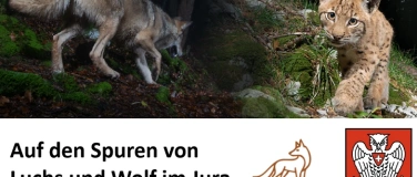 Event-Image for 'Auf den Spuren von  Luchs und Wolf im Jura'