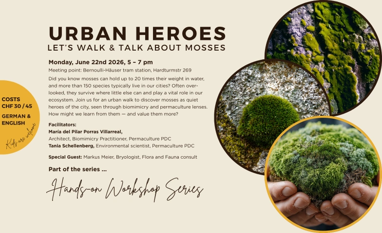 Urban Heroes: Let&rsquo;s Walk & Talk about Mosses Hardturmbrache, Hardturmstrasse 269, 8005 Z&uuml;rich Tickets