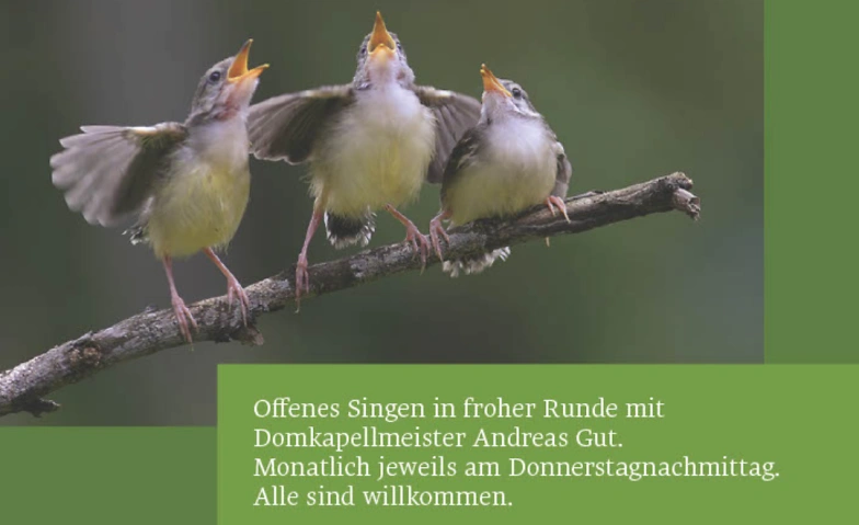 Offenes Singen in froher Runde
