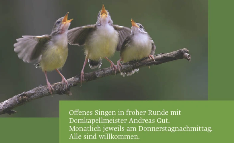 Offenes Singen in froher Runde