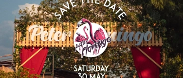 Event-Image for 'Peter Flamingo 2026 - Summer Opening (PopUp Grosse Schanze)'