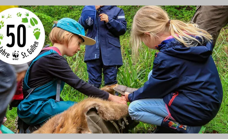 F&auml;hrtensuche im Sittertobel St.Gallen/SG, Bushaltestelle St.Gallen, Spisegg, St. Josefen-Strasse 65, 9000 St. Gallen Tickets