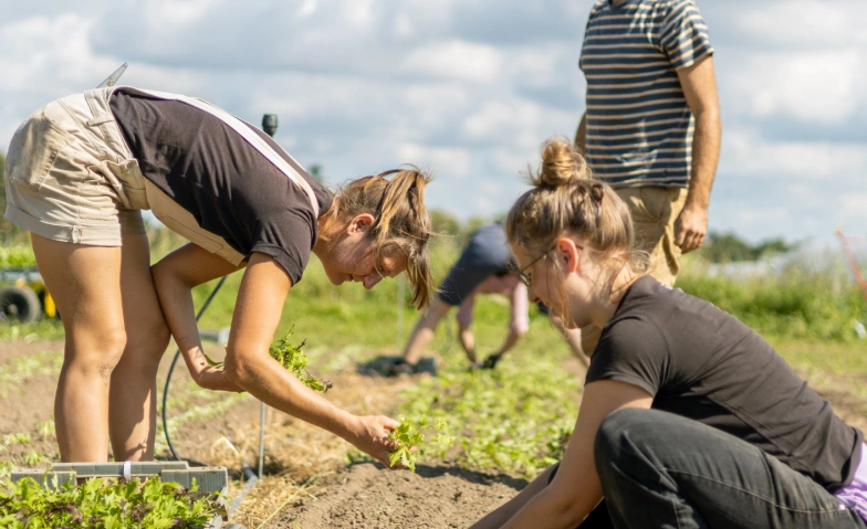 Farmer For A Day "Einführung ins Market Gardening"