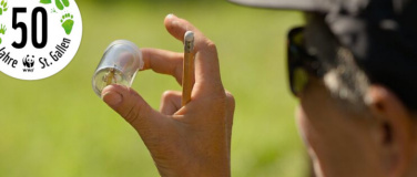 Event-Image for 'Faszination Insekten'