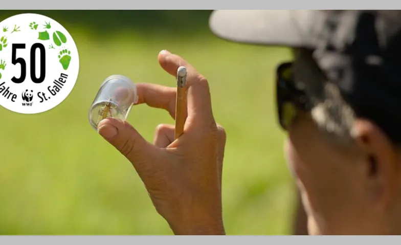 Faszination Insekten Steinbruch Unterkobel, Steinbruchstrasse, 9463 Oberriet SG Billets