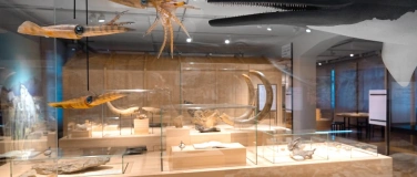 Event-Image for 'Ferienspecial im Naturmuseum'