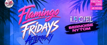 Event-Image for 'Flamingo Fridays AFTERPARTY (Bernoise x Nytom)'