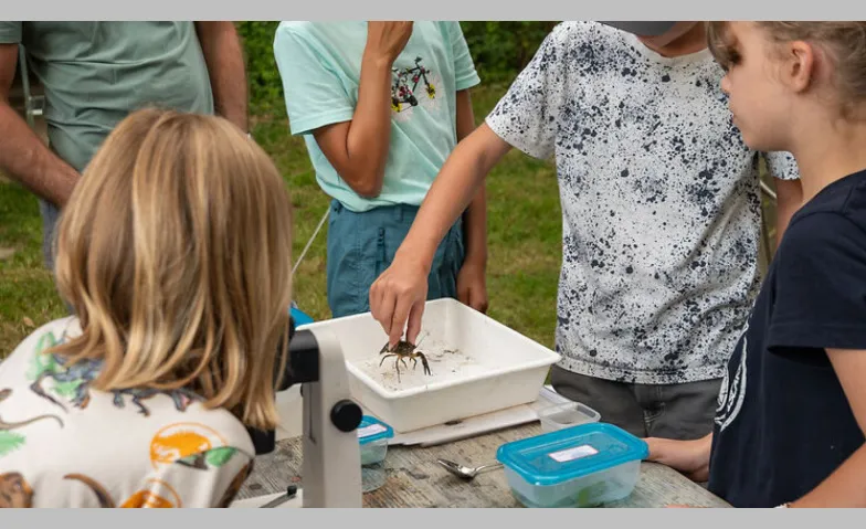 Flusskrebse &ndash; W&auml;chter unserer Gew&auml;sser Bahnhof, Bahnhof null, 9055 B&uuml;hler Billets