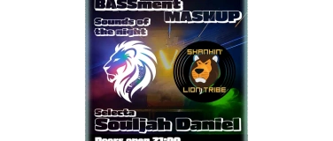 Event-Image for 'BASSment Mashup'