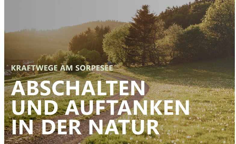 Event-Image for 'Kraftwege-Wanderung'