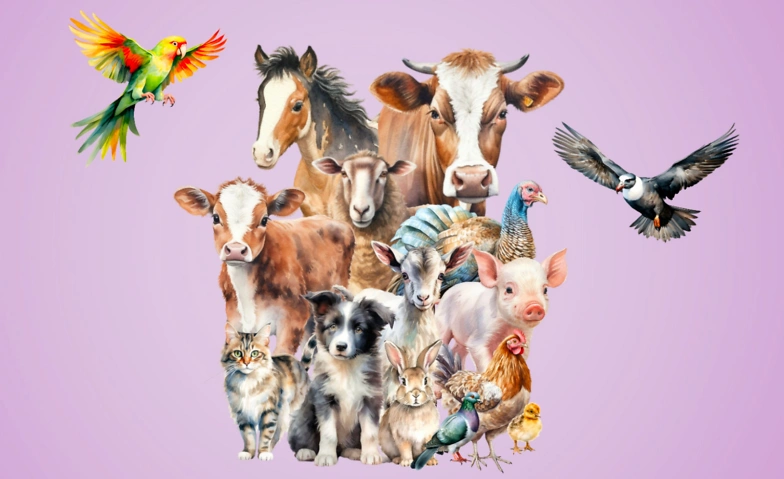 3. Straßenfest für Tiere