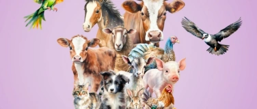Event-Image for '3. Stra&szlig;enfest f&uuml;r Tiere'