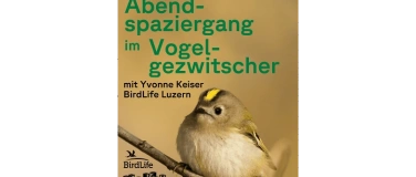 Event-Image for 'Abendspaziergang im Vogelgezwitscher'