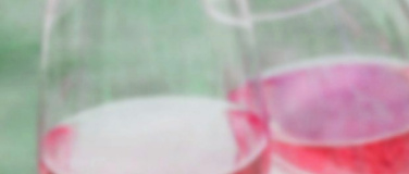 Event-Image for 'Weinfest f&uuml;r Singles - Live-Musik, Tanz und Geselligkeit'