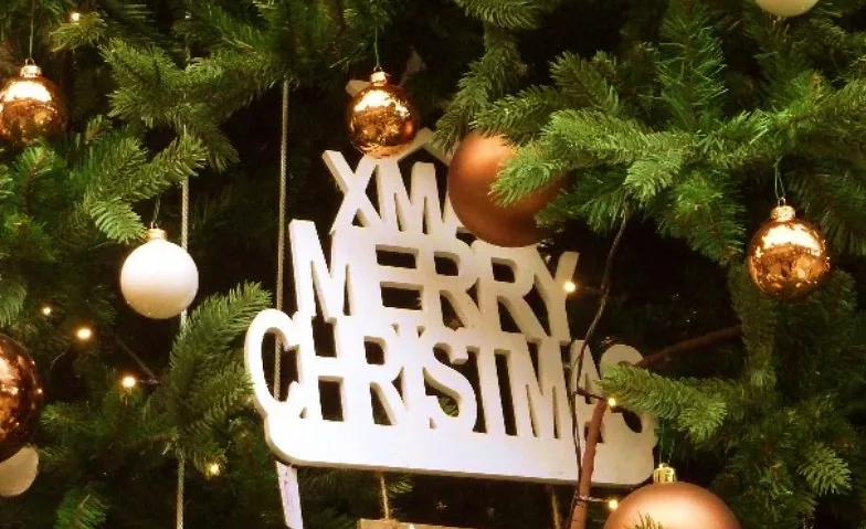 Single Dating auf dem Weihnachtsmarkt Freundschaftskreis Lingen-Meppen-Nordhorn-Rheine, Am Markt, Lingen, Deutschland, 49808 Lingen (Ems) Billets