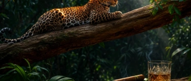 Event-Image for 'Brun del R&eacute;'