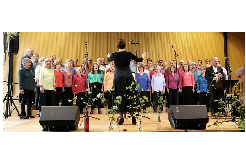 Event-Image for 'Jahreskonzert Chor mischedau Trin'