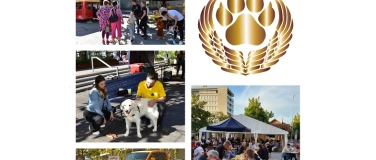 Event-Image for 'Angel Dogs Day'