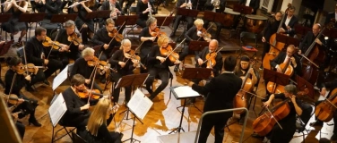 Event-Image for 'Fr&uuml;hjahrskonzert des Haydn-Orchesters Dresden'