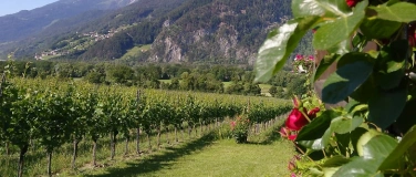 Event-Image for 'Weintavolata: Im Rebberg'
