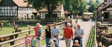 Event-Image for 'Vogelzug am Flachsee'