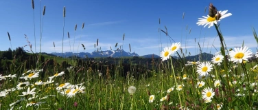 Event-Image for 'Querfeldein zu Fuss von St. Gallen an den Walensee'