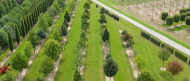 Event-Image for 'Klimabaum-Safari'